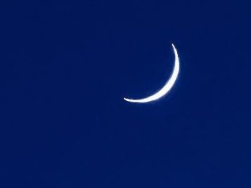 Te Zhang, History of Art major 